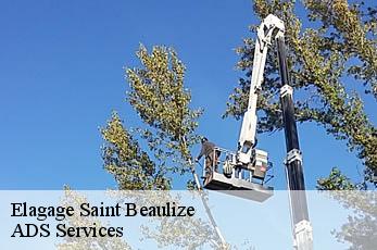 Elagage  saint-beaulize-12540 ADS Services