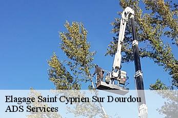 Elagage  saint-cyprien-sur-dourdou-12320 ADS Services