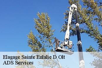 Elagage sainte-eulalie-d-olt-12130