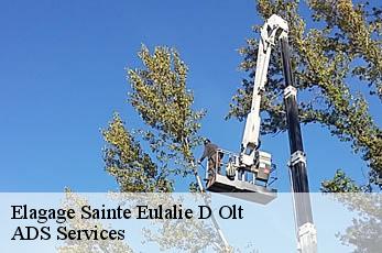 Elagage  sainte-eulalie-d-olt-12130 ADS Services