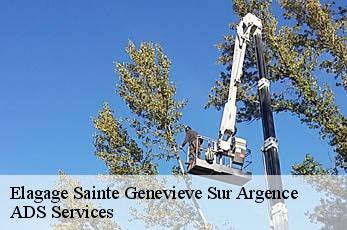 Elagage  sainte-genevieve-sur-argence-12420 ADS Services
