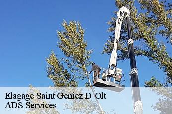 Elagage  saint-geniez-d-olt-12130 ADS Services