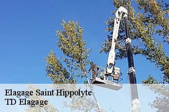 Elagage  saint-hippolyte-12140 TD Elagage