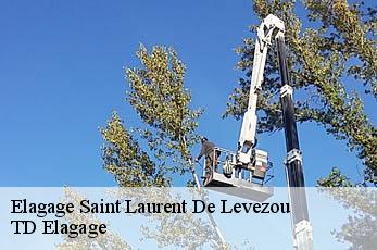 Elagage  saint-laurent-de-levezou-12620 TD Elagage