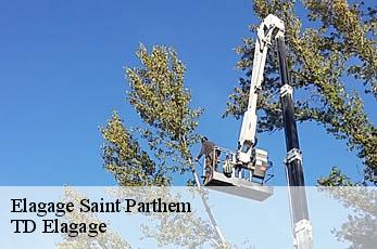 Elagage  saint-parthem-12300 TD Elagage