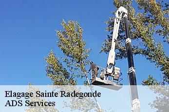 Elagage sainte-radegonde-12850