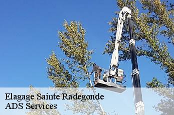 Elagage  sainte-radegonde-12850 ADS Services