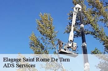 Elagage  saint-rome-de-tarn-12490 ADS Services