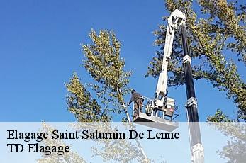 Elagage  saint-saturnin-de-lenne-12560 TD Elagage