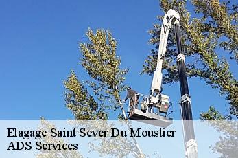 Elagage  saint-sever-du-moustier-12370 ADS Services