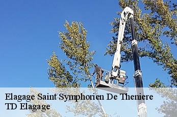 Elagage  saint-symphorien-de-theniere-12460 TD Elagage