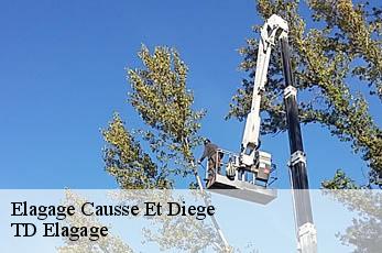 Elagage  causse-et-diege-12700 TD Elagage