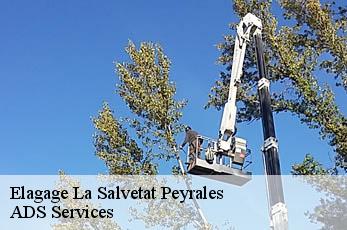 Elagage la-salvetat-peyrales-12440 ADS Services