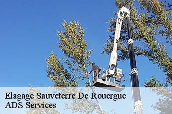 Elagage sauveterre-de-rouergue-12800 ADS Services