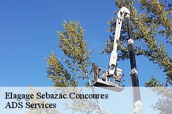 Elagage sebazac-concoures-12740 Elagage Beaumann