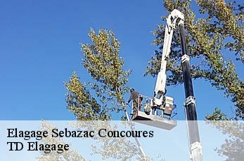 Elagage  sebazac-concoures-12740 TD Elagage