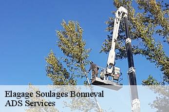 Elagage  soulages-bonneval-12210 ADS Services