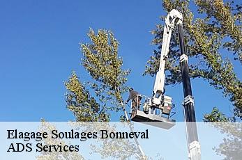 Elagage soulages-bonneval-12210 Elagage Beaumann