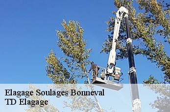 Elagage  soulages-bonneval-12210 TD Elagage