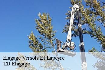 Elagage  versols-et-lapeyre-12400 TD Elagage