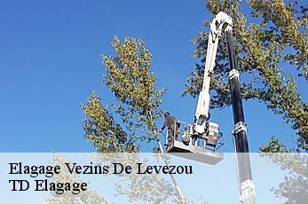 Elagage  vezins-de-levezou-12780 TD Elagage