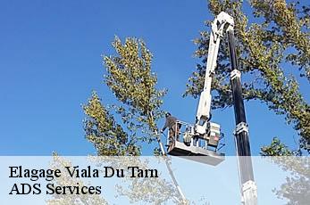 Elagage viala-du-tarn-12490 ADS Services