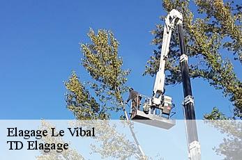 Elagage  le-vibal-12290 TD Elagage