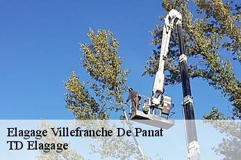 Elagage  villefranche-de-panat-12430 TD Elagage