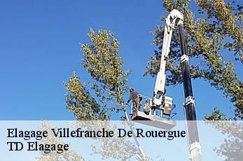 Elagage  villefranche-de-rouergue-12200 TD Elagage