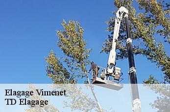 Elagage  vimenet-12310 TD Elagage