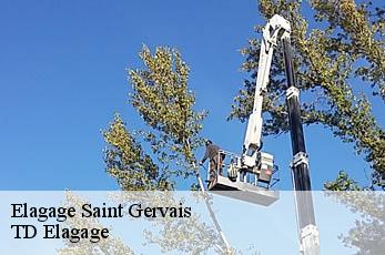 Elagage  saint-gervais-12460 TD Elagage