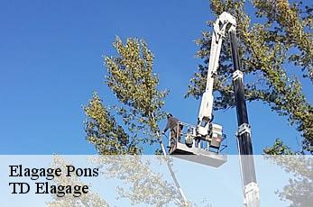 Elagage  pons-12140 TD Elagage