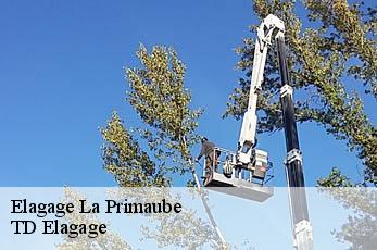 Elagage  la-primaube-12450 TD Elagage
