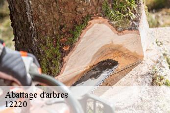 Abattage d'arbres  12220