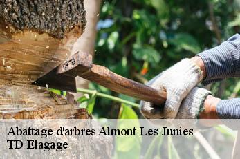 Abattage d'arbres  almont-les-junies-12300 TD Elagage