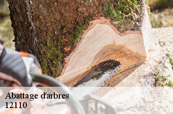 Abattage d'arbres  12110