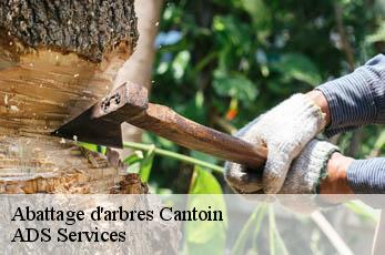 Abattage d'arbres  cantoin-12420 ADS Services