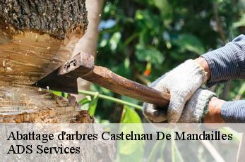 Abattage d'arbres  castelnau-de-mandailles-12500 ADS Services