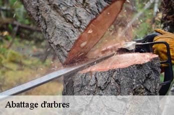 Abattage d'arbres