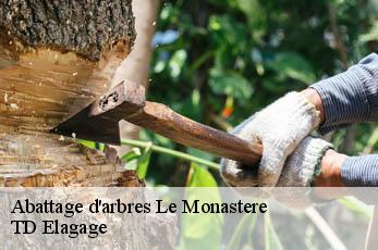 Abattage d'arbres  le-monastere-12000 TD Elagage