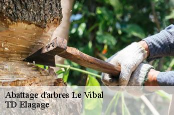 Abattage d'arbres  le-vibal-12290 TD Elagage