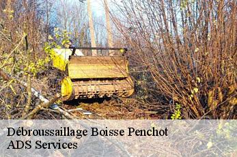 Débroussaillage  boisse-penchot-12300 ADS Services