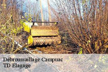Débroussaillage  campuac-12580 TD Elagage