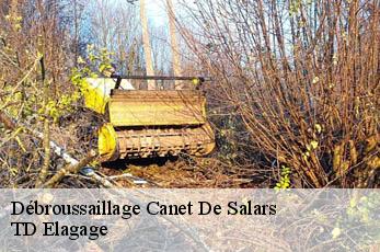 Débroussaillage  canet-de-salars-12290 TD Elagage