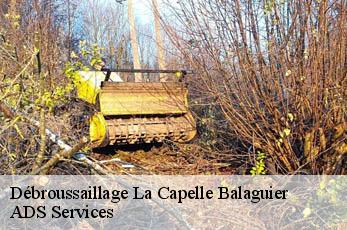 Débroussaillage  la-capelle-balaguier-12260 ADS Services