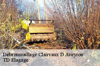 Débroussaillage  clairvaux-d-aveyron-12330 TD Elagage