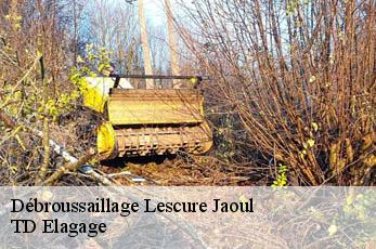 Débroussaillage  lescure-jaoul-12440 TD Elagage