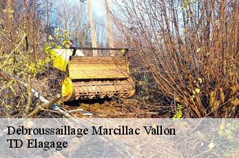 Débroussaillage  marcillac-vallon-12330 TD Elagage