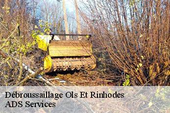Débroussaillage ols-et-rinhodes-12260 ADS Services