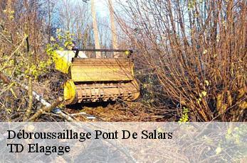 Débroussaillage  pont-de-salars-12290 TD Elagage